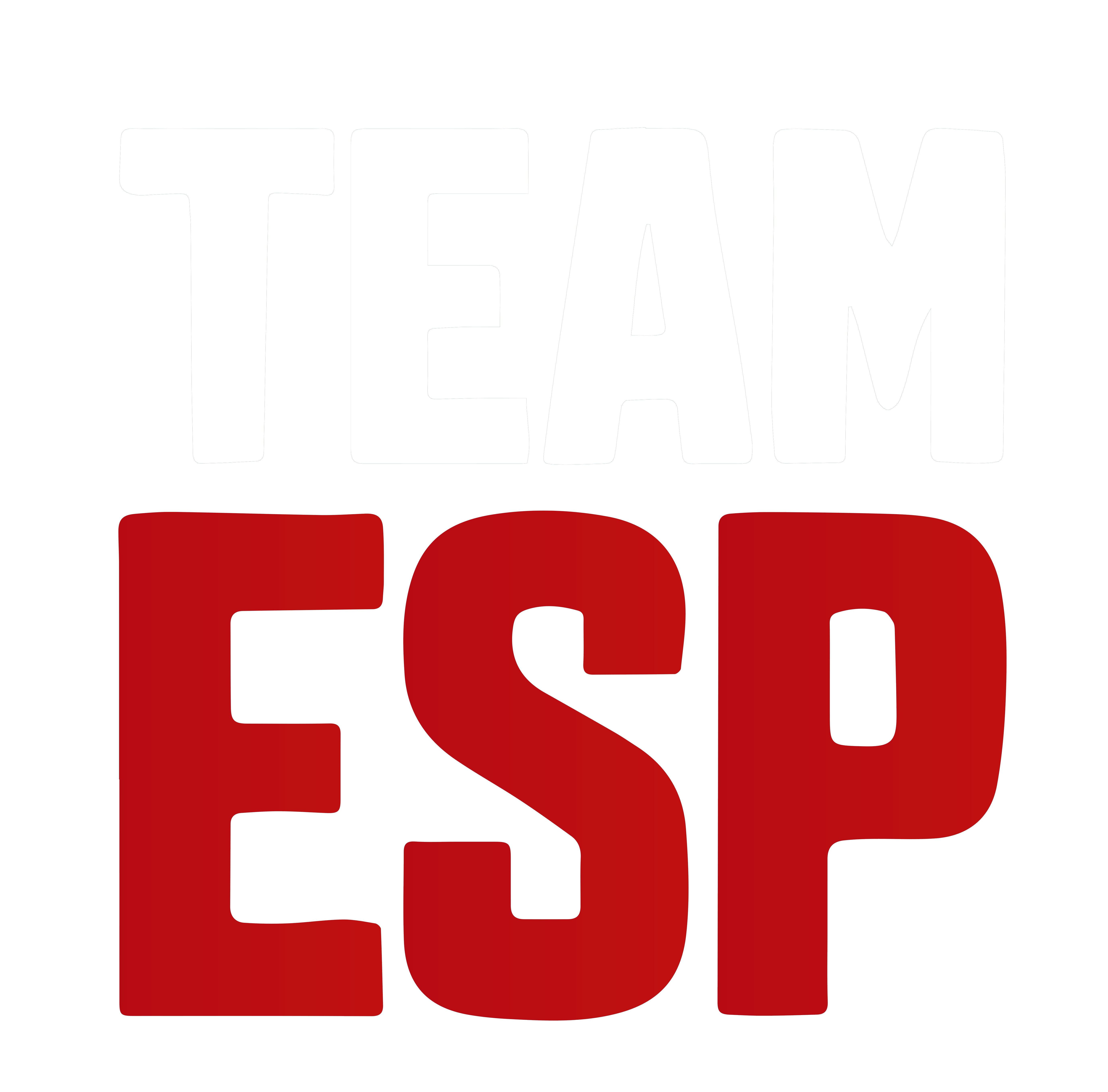 Team ESP